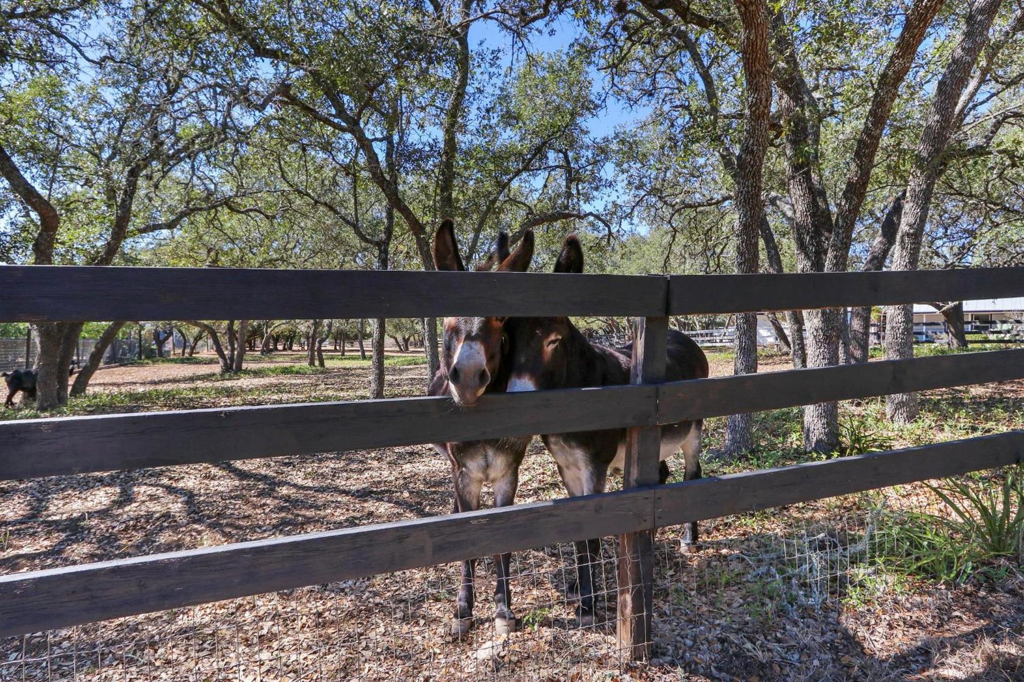 Red Donkey Cottage Wimberley Exterior photo