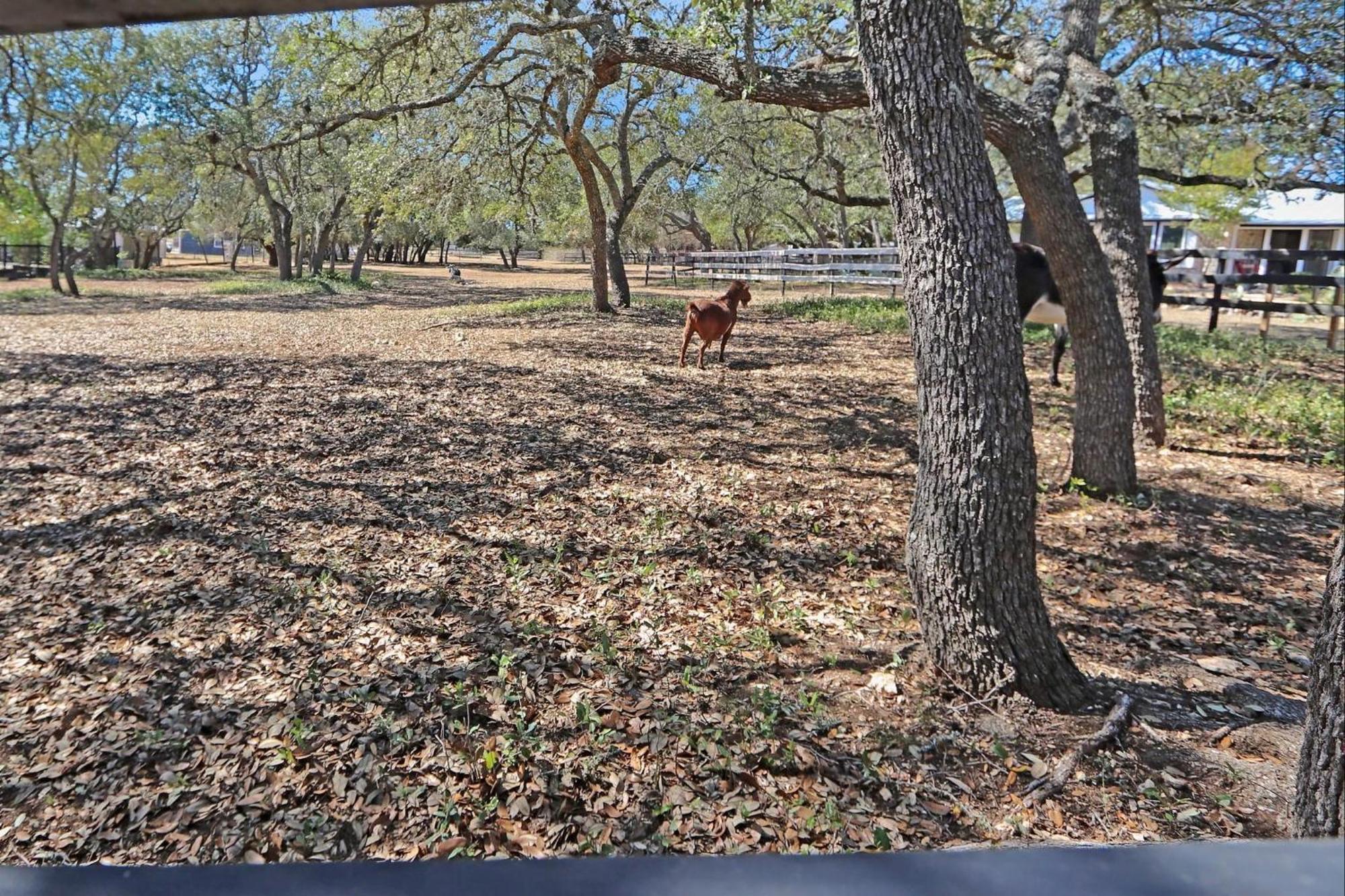 Red Donkey Cottage Wimberley Exterior photo